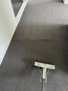 Discover 10 proven tips for carpet cleaning Melbourne to keep your home fresh, clean, and healthy with easy maintenance and expert cleaning advice.