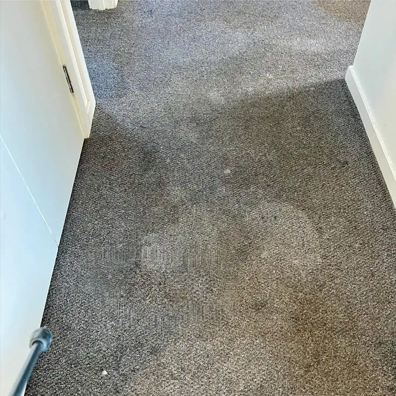 home-before home-before