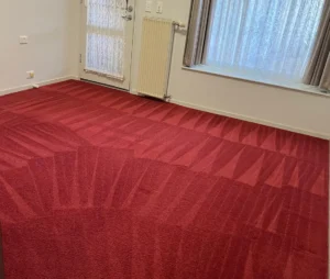 Carpet Drying Melbourne Tips: 8 Common Mistakes to Avoid