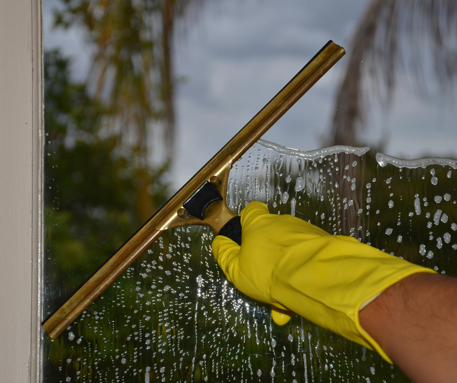 Professional window cleaning service