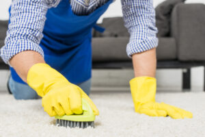 Best Rug Cleaning Melbourne Methods: 5 Techniques That Work