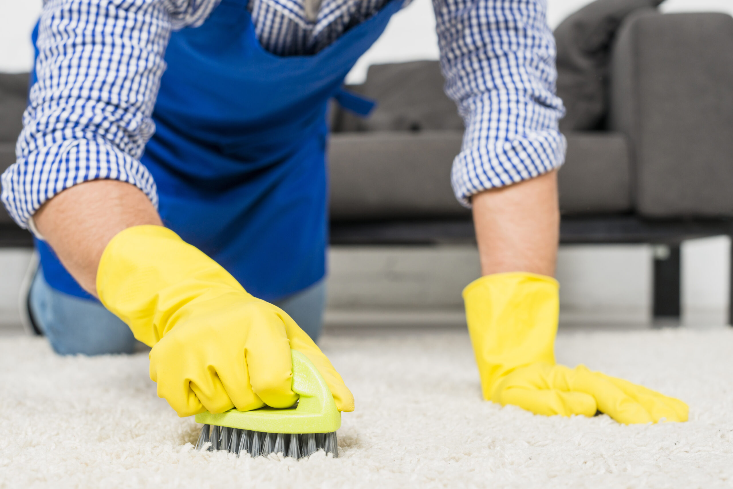Best Rug Cleaning Melbourne Methods: 5 Techniques That Work