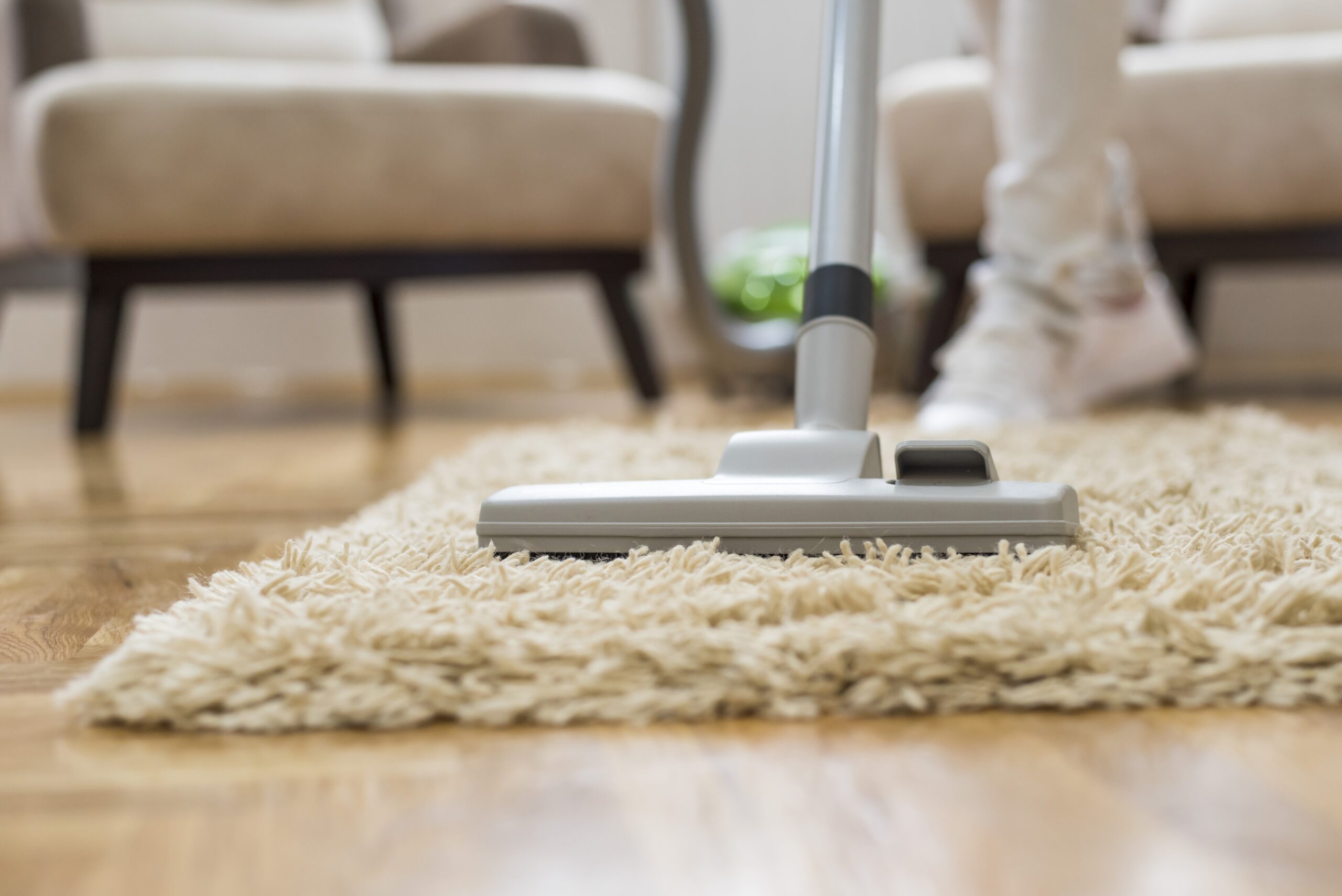 Ultimate Guide to Carpet Cleaning in Melbourne for a Spotless Home