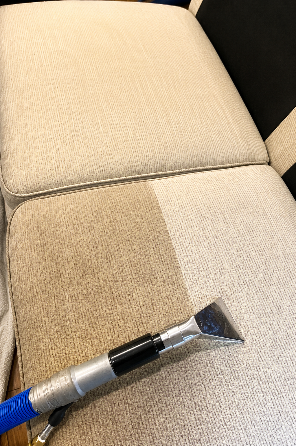 Professional couch cleaning in Melbourne