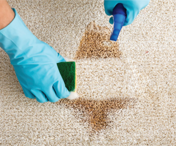 Professional carpet stain removal for a stained residential carpet